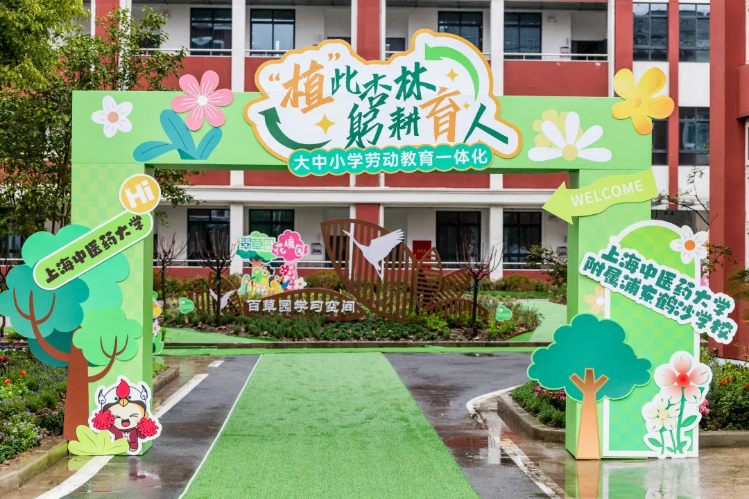 中医药文化+劳动教育 sunbet申搏官方网站携手附属中小学共植杏树