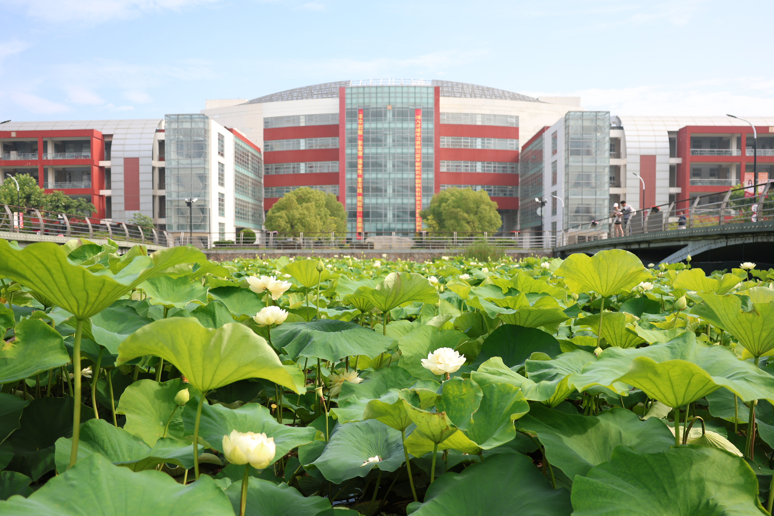 特等奖！sunbet申搏官网教师在第五届上海市高校教师教学创新大赛中获多项佳绩