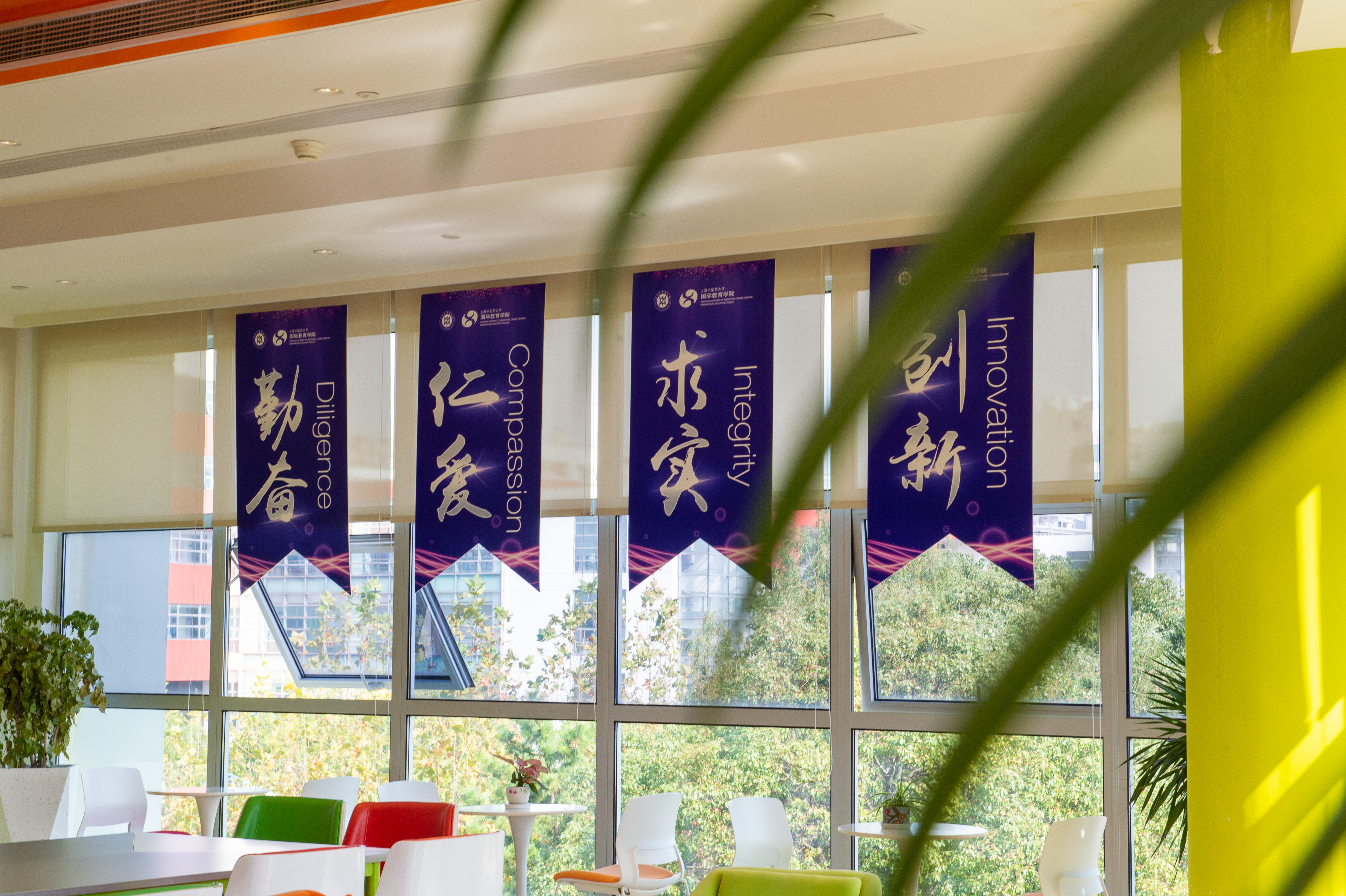 喜讯！sunbet申搏官网戴榕辰入选全国博士后创新人才支持计划