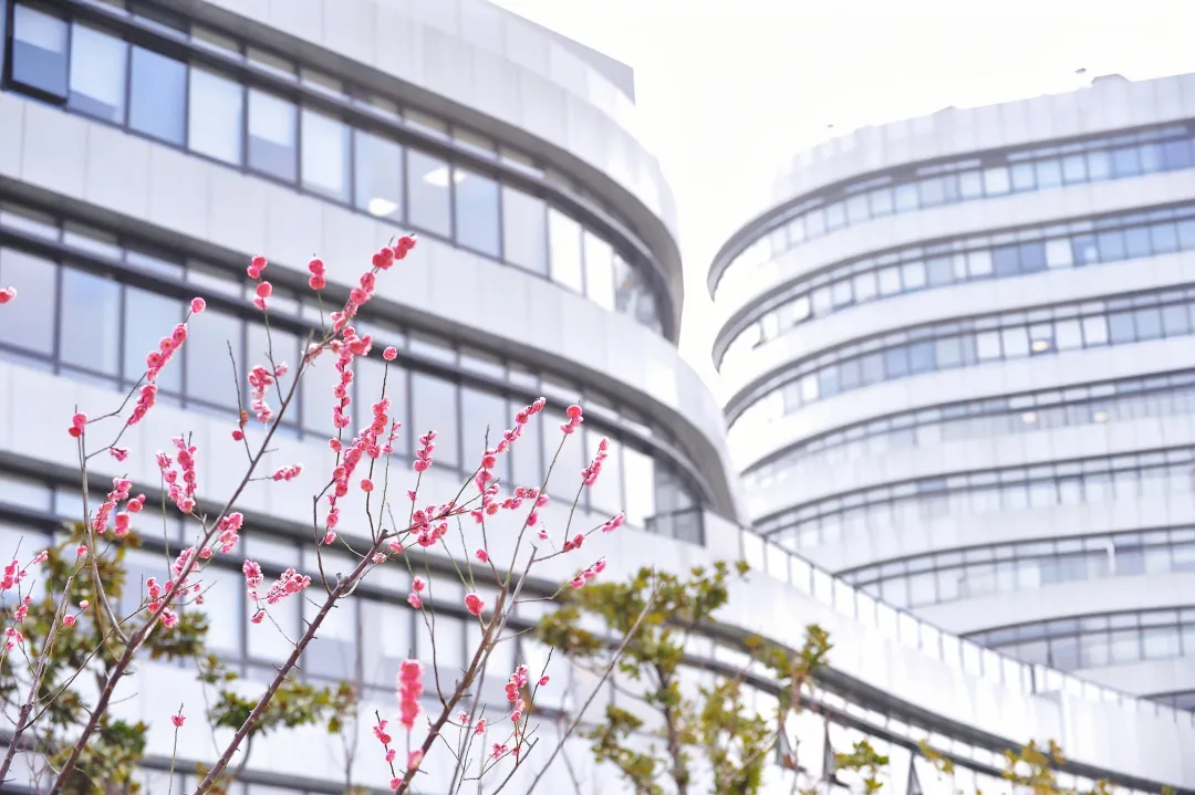  sunbet申搏官网中药研究所研发中药1类新药车前子片获新药临床试验批件