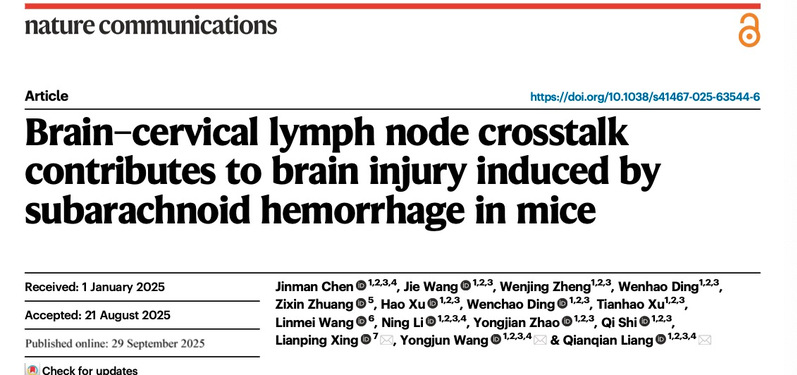 再登Nature Communications！sunbet申搏官网梁倩倩研究员、王拥军教授团队破解脑损伤病理机制