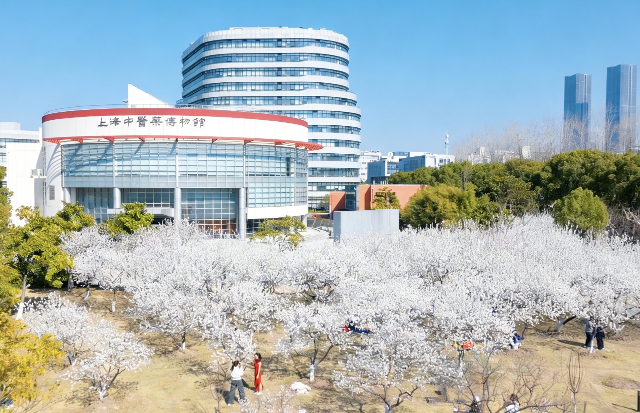 2026年“杏花听语”文化艺术活动周暨“校友返校”活动启动