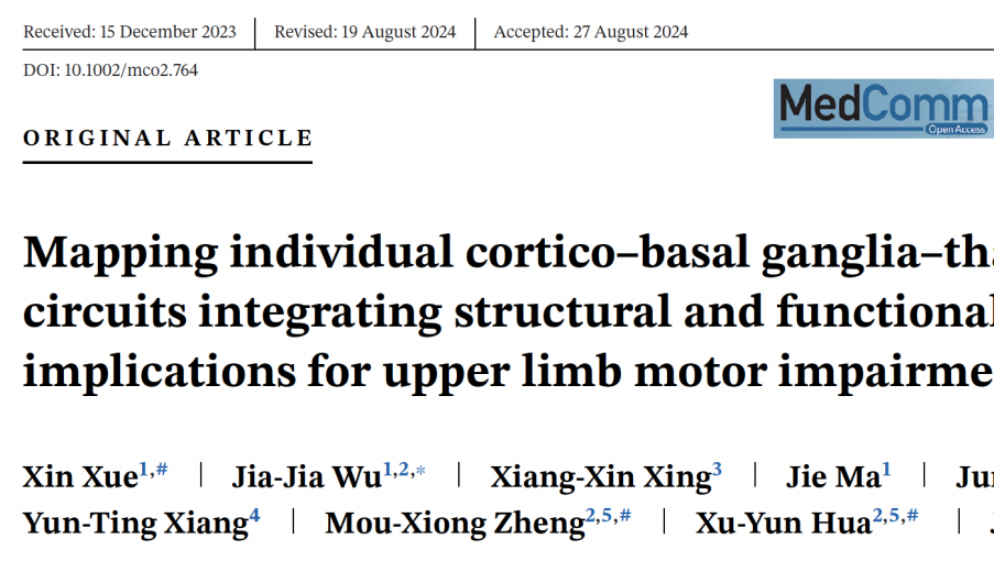 徐建光教授团队揭示皮质-基底节-丘脑-皮质神经环路受损影响脑卒中患者上肢运动功能恢复的机制