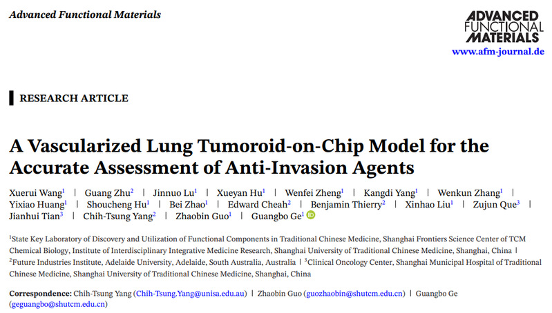 sunbet申搏官网交叉科学研究院团队成功研发血管化肺癌类器官芯片