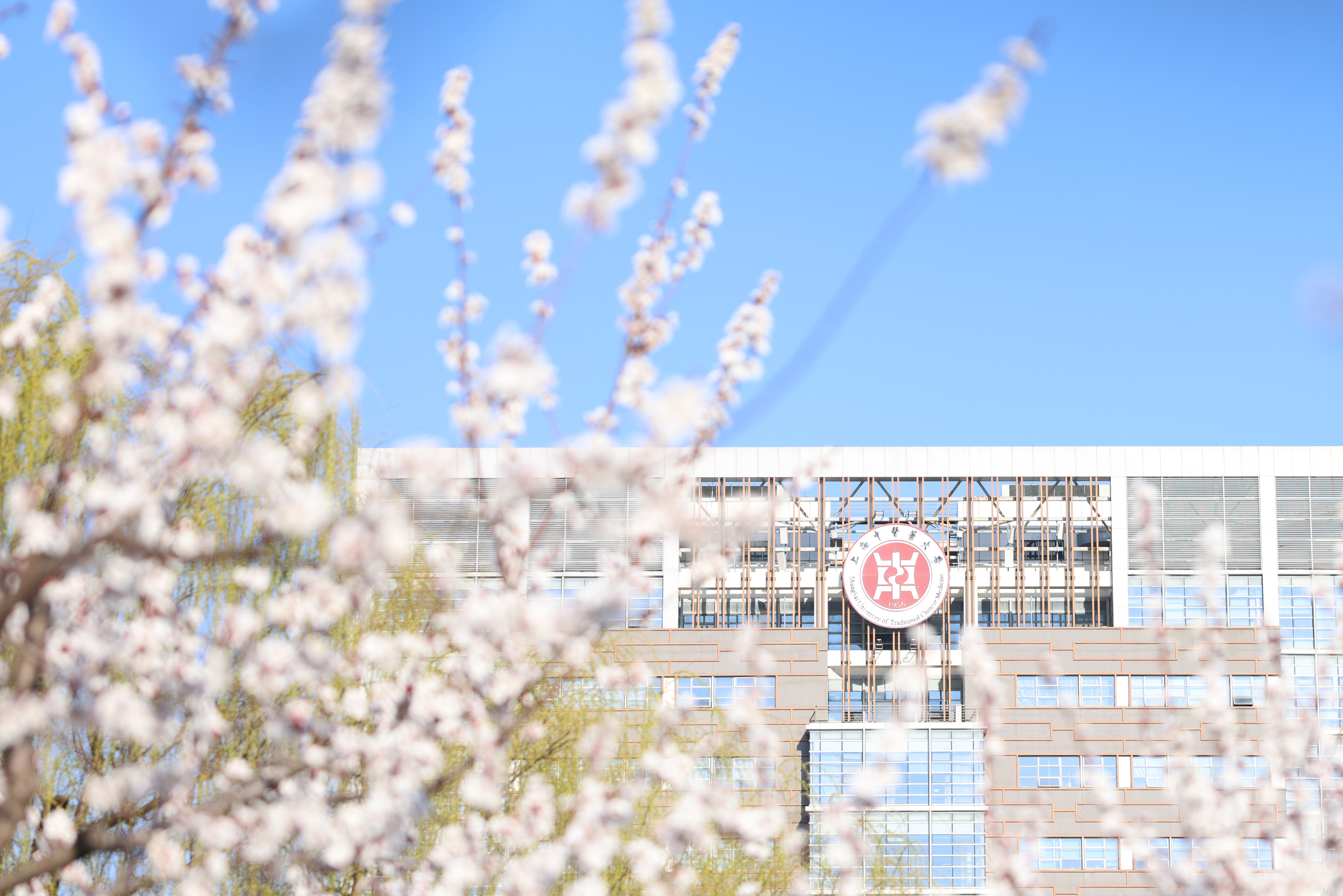 sunbet申搏官网10部教材入选“十四五”普通高等教育本科国家级规划教材