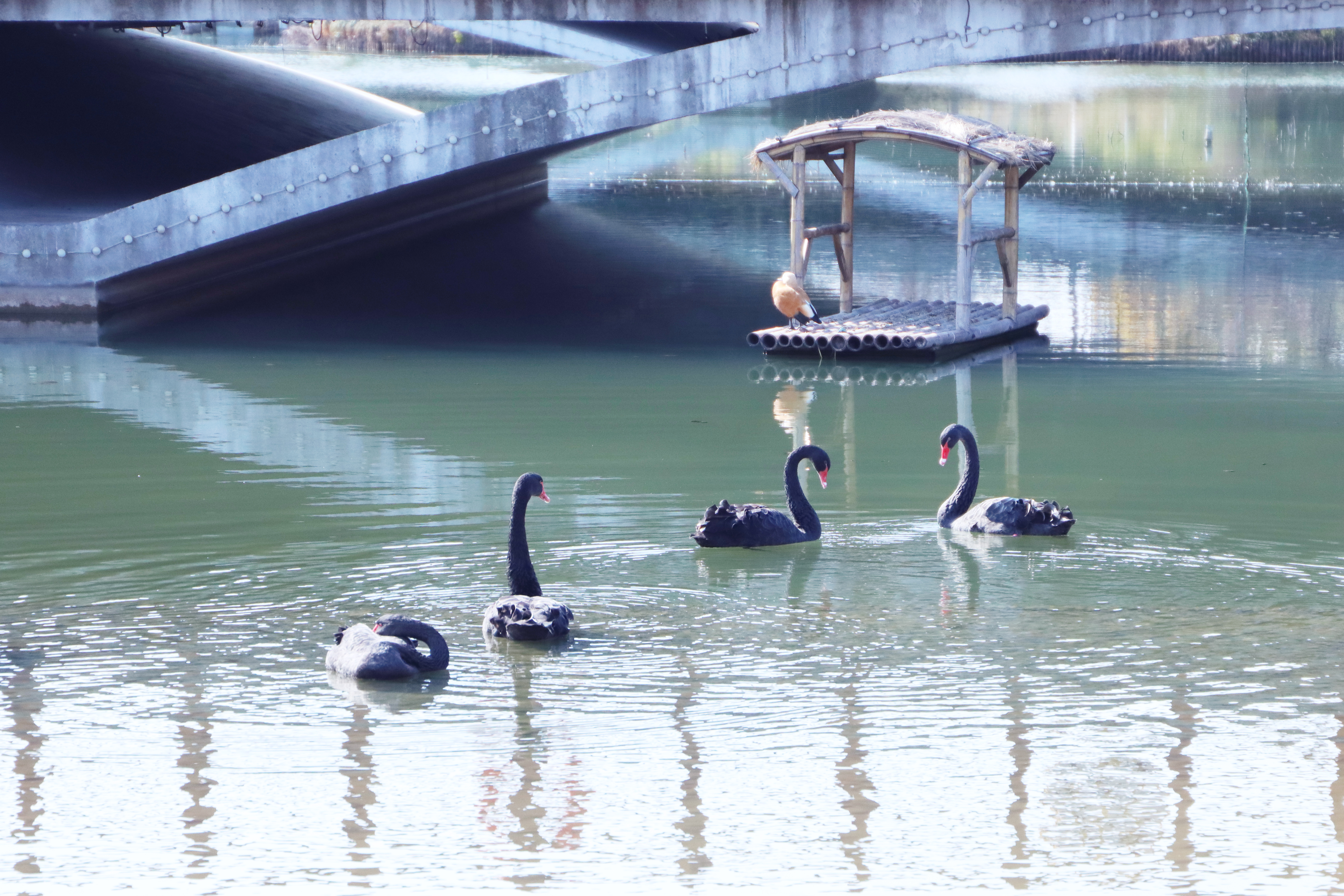 sunbet申搏官网护理学院吴静教授夫妇荣获“上海市教育系统第十五届比翼双飞模范佳侣”称号