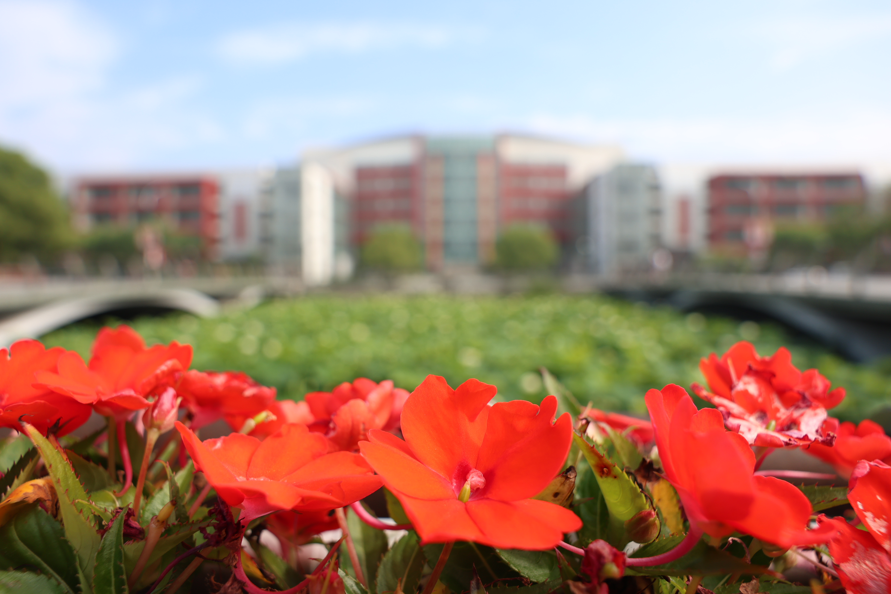 祝贺！sunbet申搏官网系统4项成果喜获上海市科学技术奖