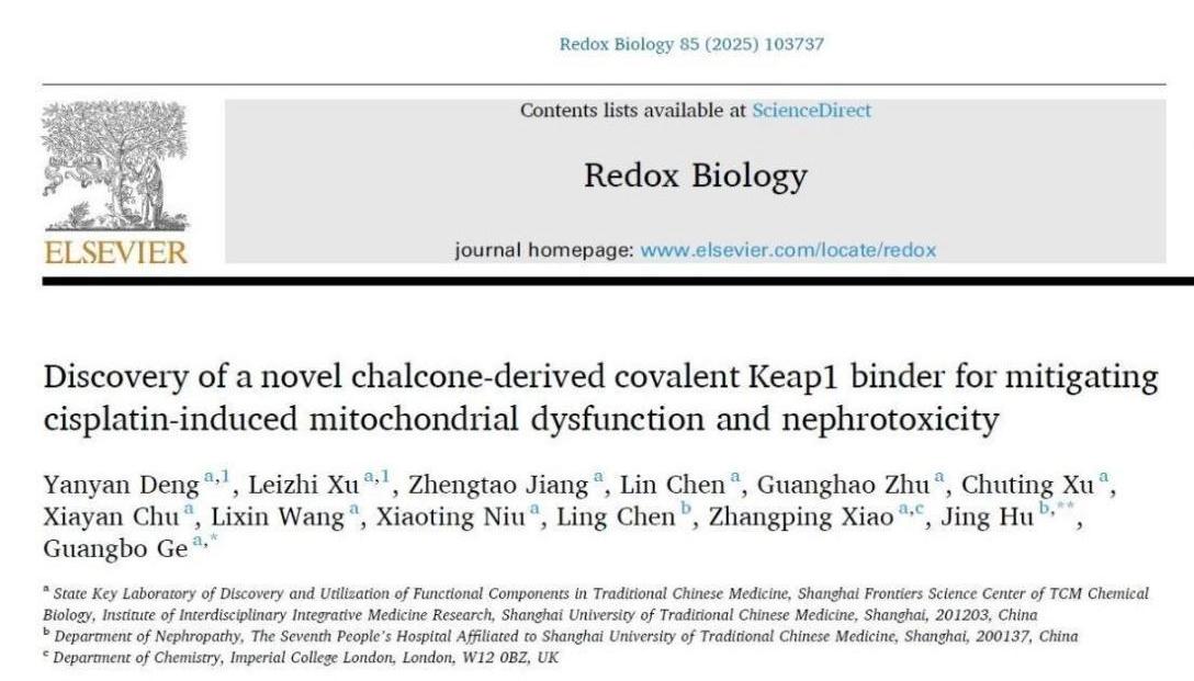sunbet申搏官网团队研发新型肾靶向Nrf2激动剂用于缓解急性肾损伤