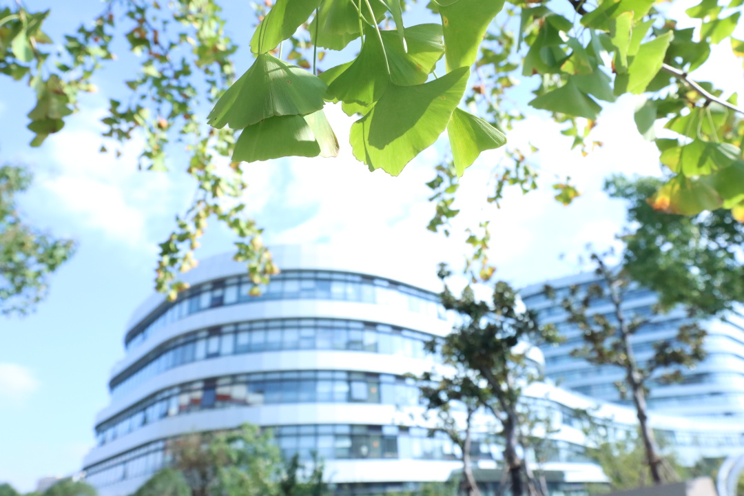 祝贺！sunbet申搏官网系统多个集体和个人获先进表彰！