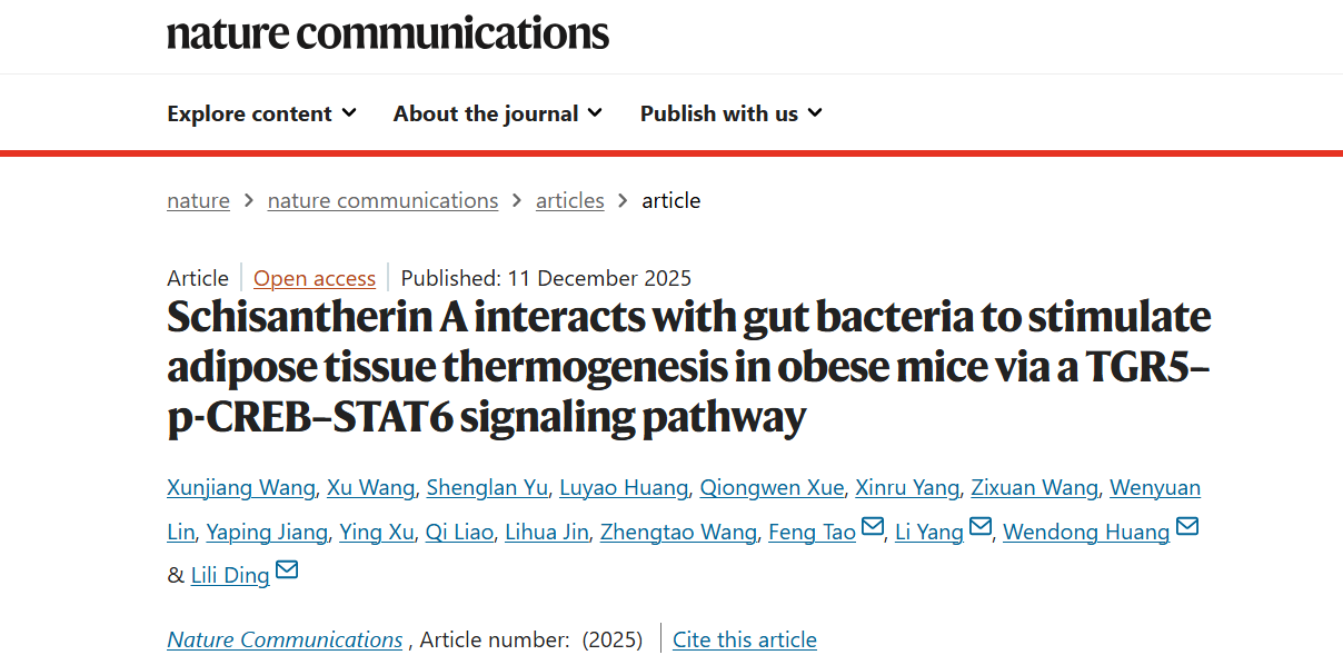 sunbet申搏官网丁丽丽研究员、杨莉研究员带领双方团队破解中药来源天然产物促进脂肪产热减重新机制