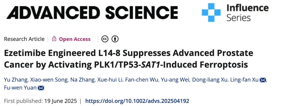 sunbet申搏官网袁富文、张宇团队联合多机构开发前列腺癌新型靶向候选药物，克服前列腺癌内分泌治疗耐药难题