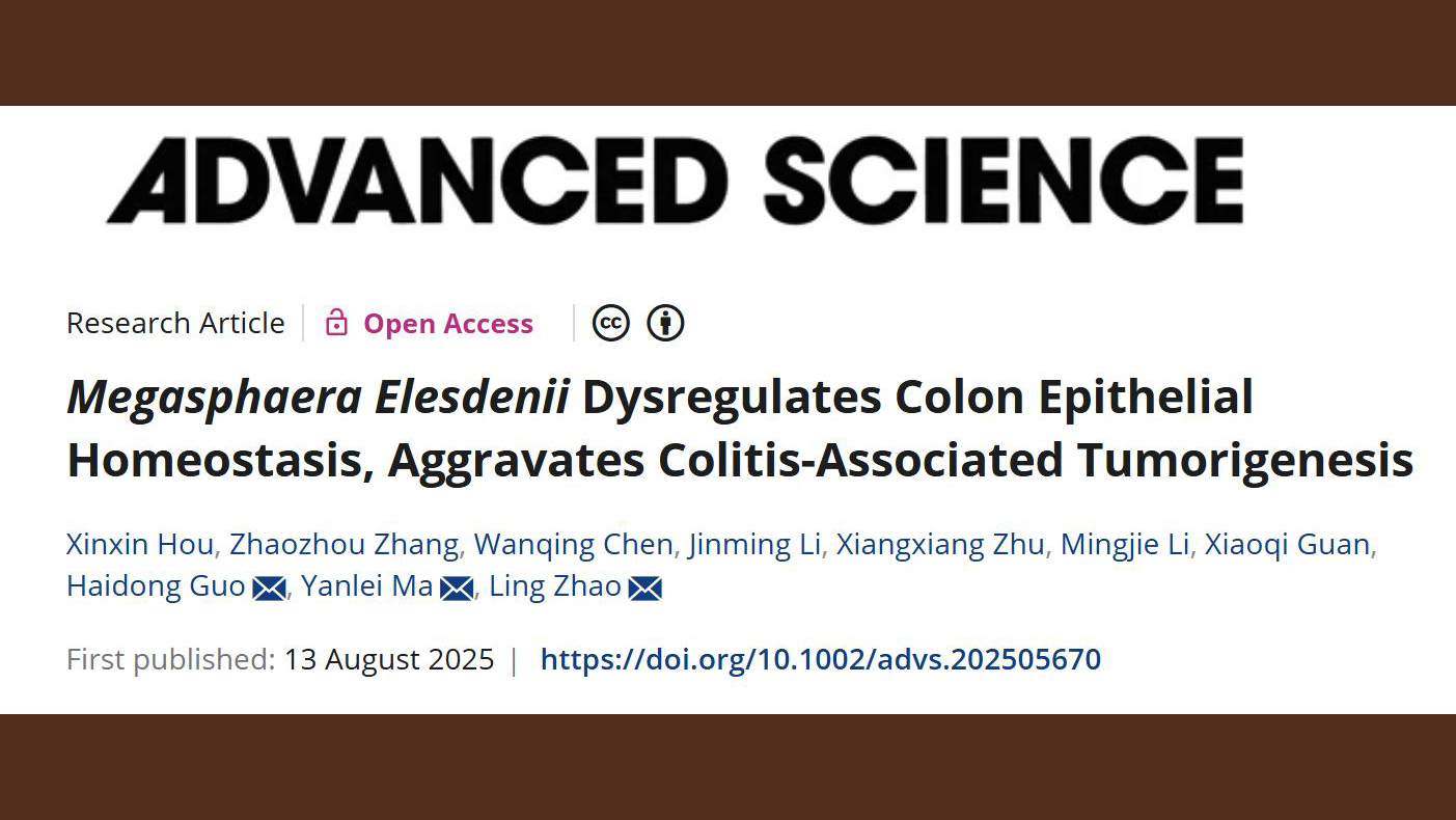 sunbet申搏官网中西医结合学院研究团队揭示肠道菌Megasphaera促进结直肠癌炎癌转化的机制